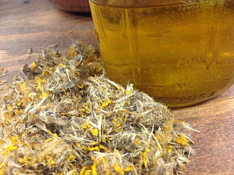 Soothing Arnica Lotion | Cooling or Warming - Image 3